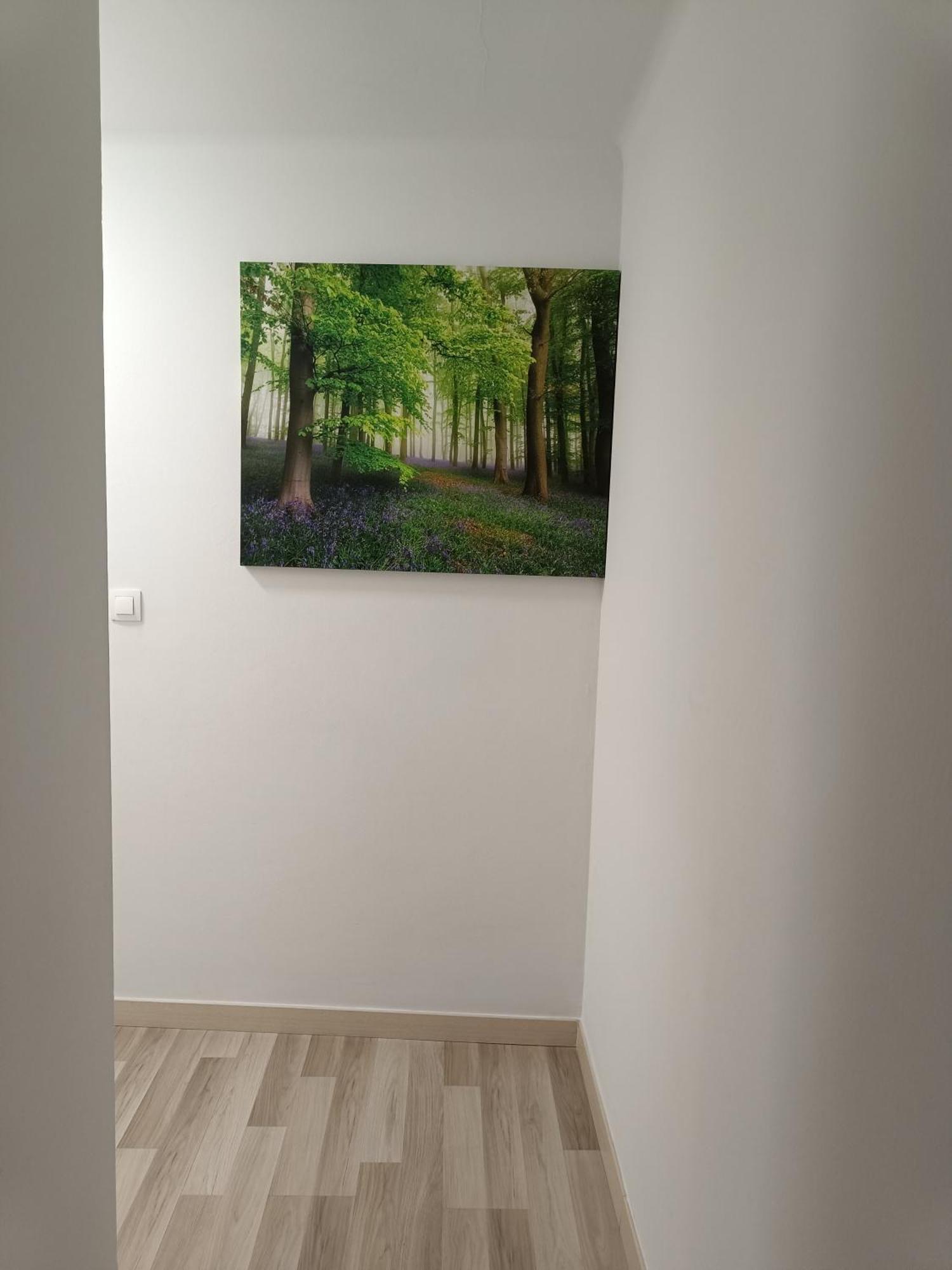 Apartamento Confort I La Seu d'Urgell Buitenkant foto
